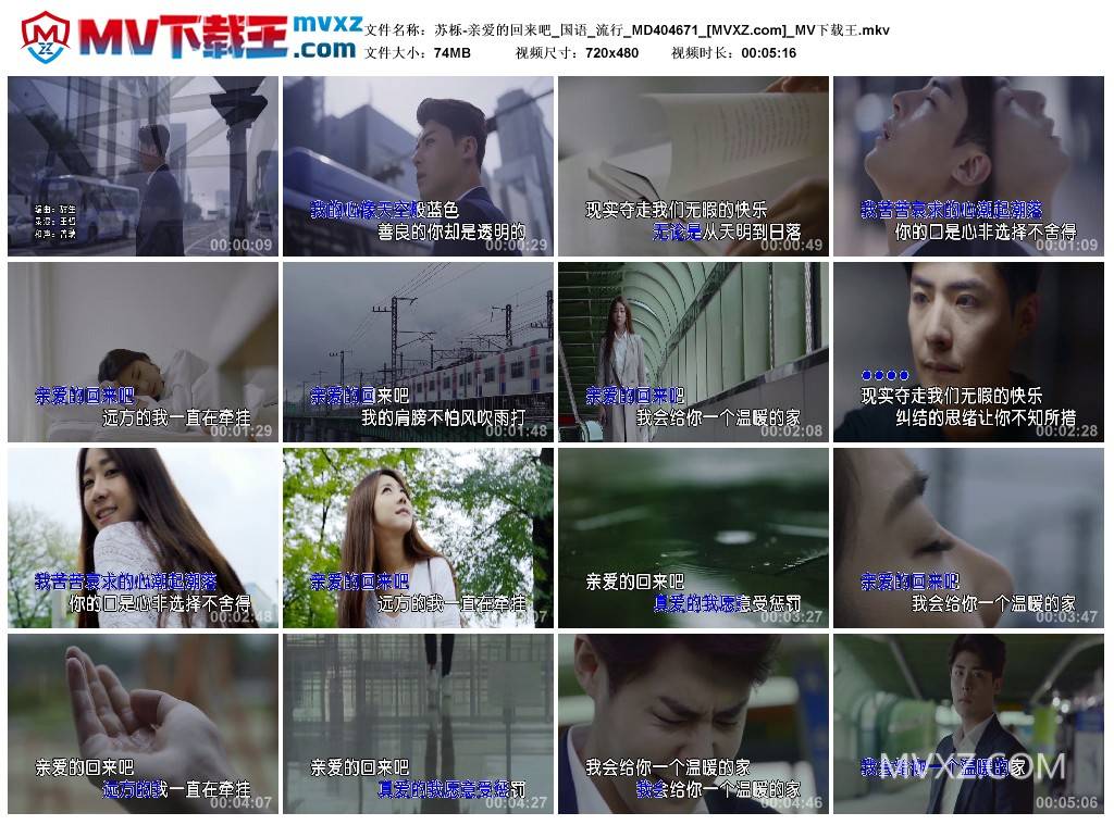 苏栎-亲爱的回来吧_国语_流行_MD404671